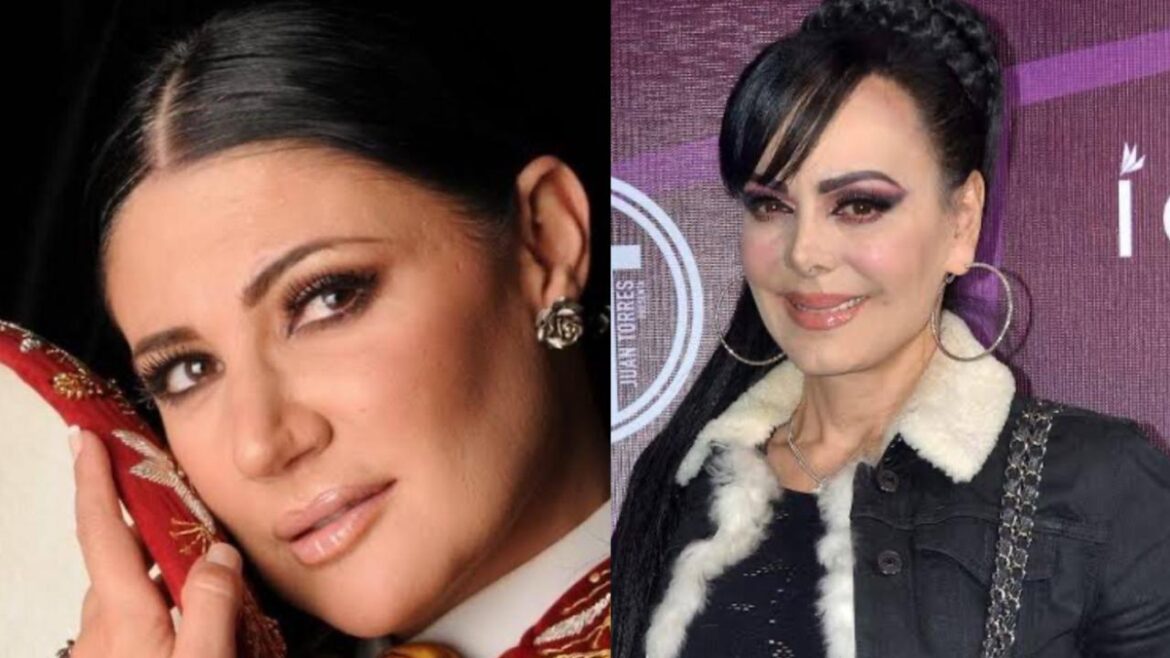 Alejandra Ávalos reacciona al polémico procedimiento para la custodia del nieto de Maribel Guardia