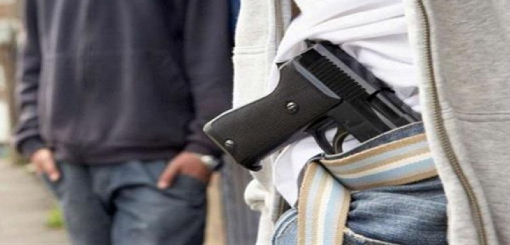 Aprueban diputados reforma que amplía uso legal de armas para organismos públicos y sectores rurales