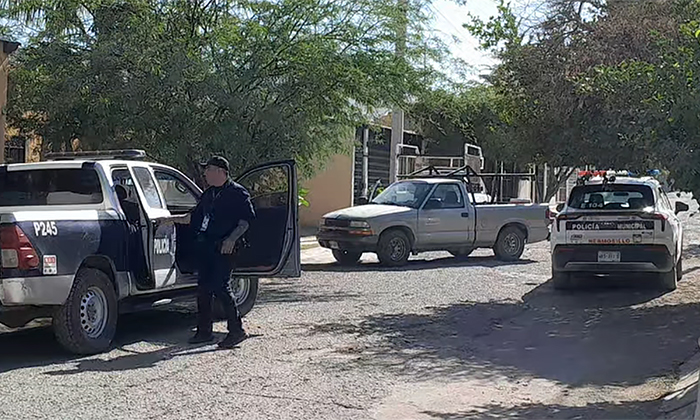 Aprehenden a presunto robacarros en la colonia Villa del Palmar