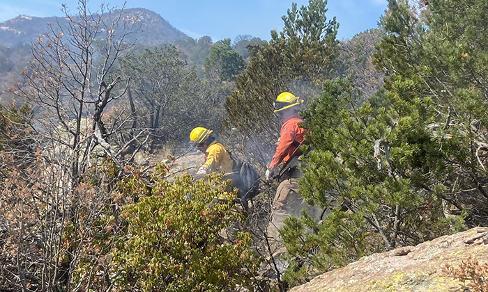 Refuerzan combate a incendio forestal en Nácori Chico