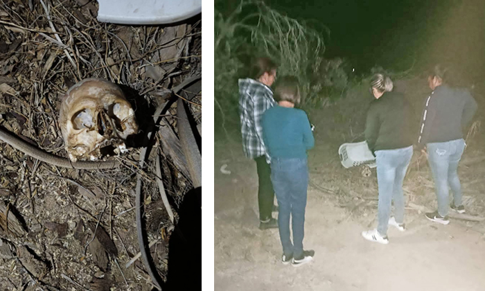 Hallan buscadoras una osamenta en San Pedro El Saucito