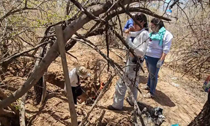 Investigan fosas clandestinas