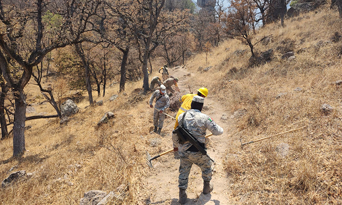 Autoridades estatales y federales continúan combate de cuatro incendios forestales