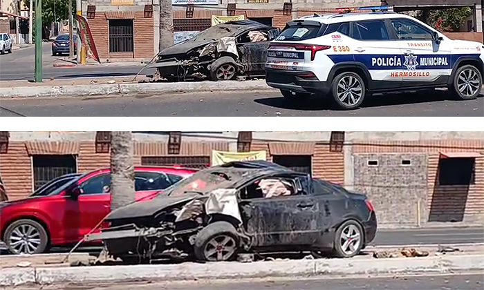 Se impacta auto contra palmera en la colonia Pedregal de la Villa