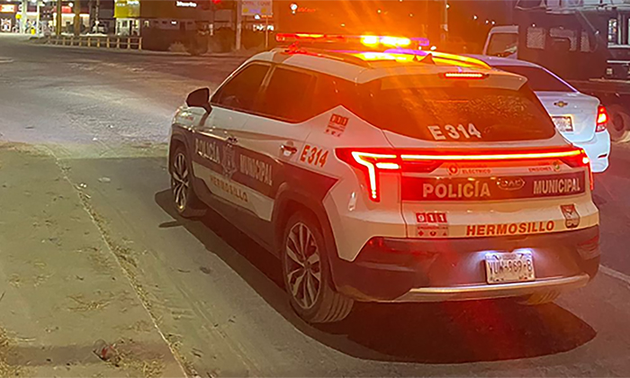 Captura a presunto asaltante armado en el fraccionamiento Las Lomas
