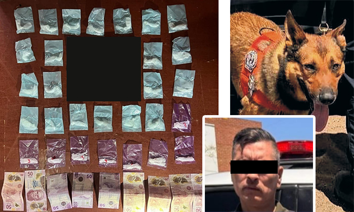 Aseguran a presunto narcomenudista en la colonia Quintas del Sol
