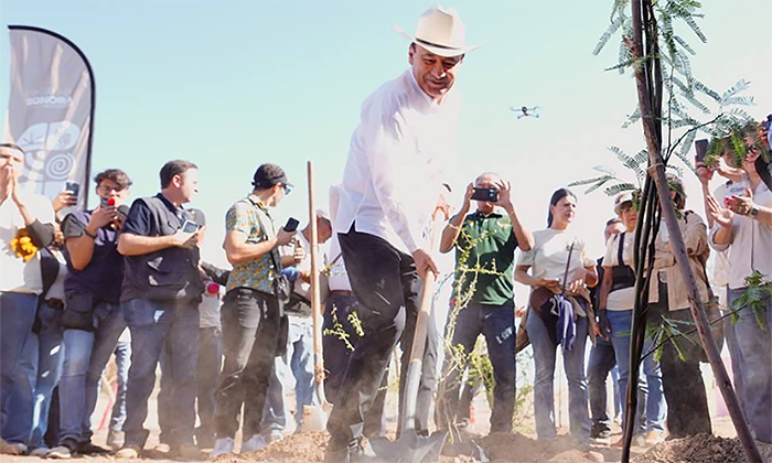 Inicia gobernador reforestación de La Sauceda; Se plantarán más de 4 mil árboles