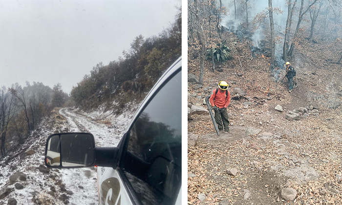 Controlan 70 por ciento incendio en Nácori Chico tras caída de aguanieve