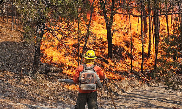 Avanza combate al incendio forestal en Nácori Chico; Asegura Protección Civil