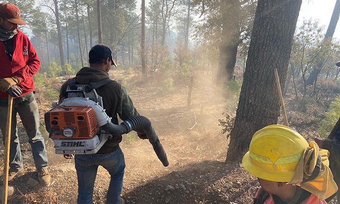 Avanza control de incendio forestal en Nácori Chico; Reporta Protección Civil