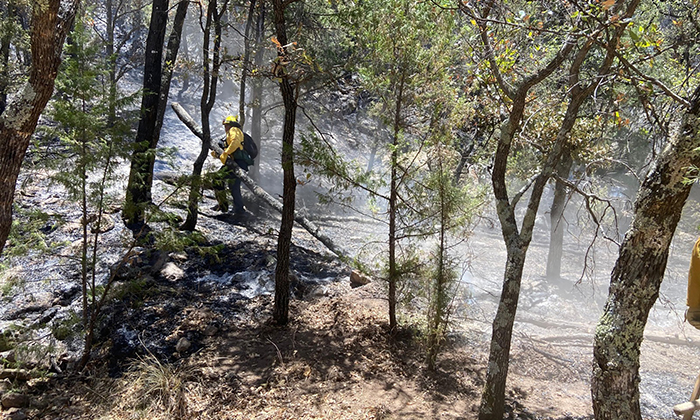 Están casi liquidados incendios forestales en territorio sonorense