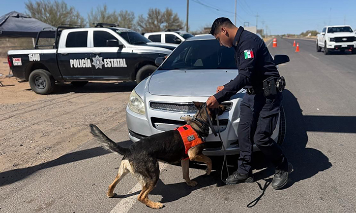 Aseguran armas, drogas y vehículos; Agentes estatales
