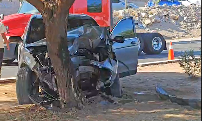Se impacta camioneta contra árbol en la salida norte de la ciudad