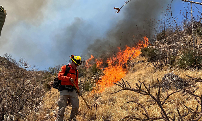 Liquidan incendio forestal en Tubutama