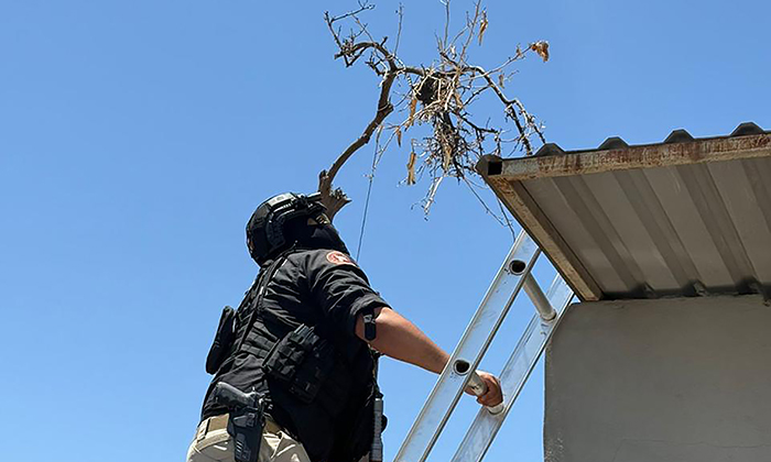 Aseguran cámaras de videovigilancia irregulares en Ciudad Obregón