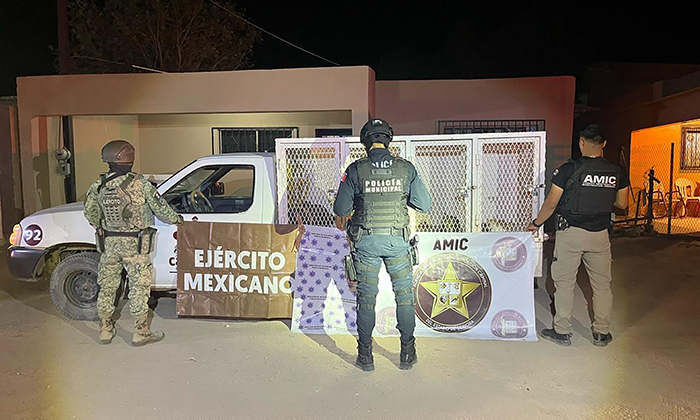 Rescatan a felinos por maltrato animal en Caborca
