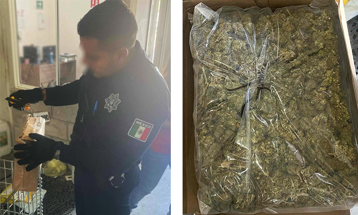 Hallan droga en empresa de paquetería en Ciudad Obregón