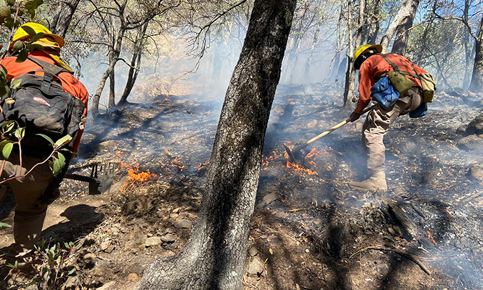 Avanza control de incendio forestal en Nácori Chico