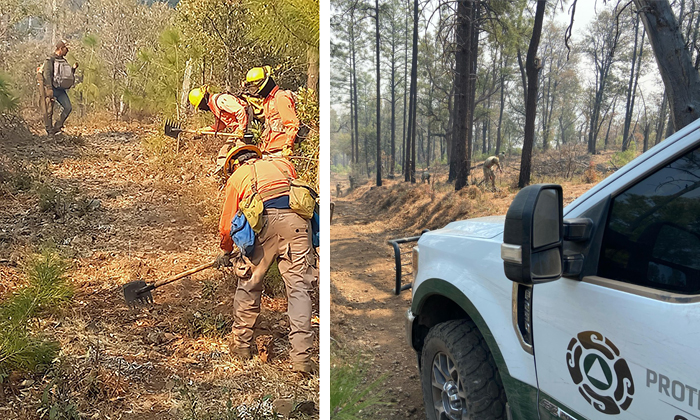 Refuerzan combate a incendios forestales en Yécora y Bavispe