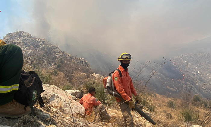 Registra Sonora 28 incendios forestales en este año