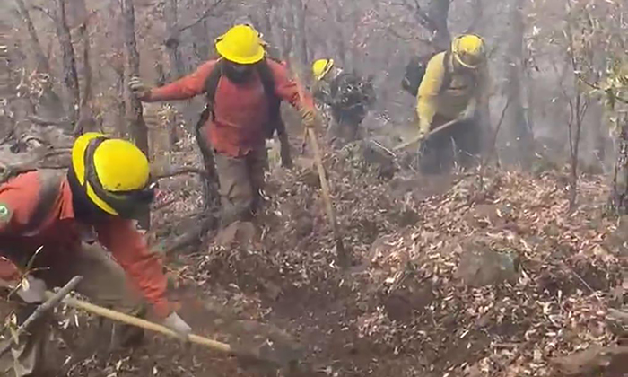 Avanza sofocación de incendios forestales