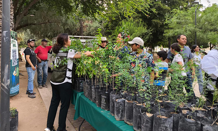 Gobierno de Hermosillo logra récord de donación de plantas nativas