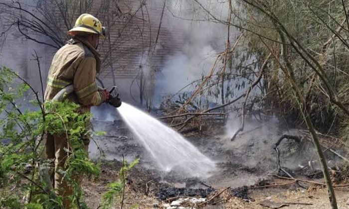 Sofocan incendio de maleza en la colonia Yucatán