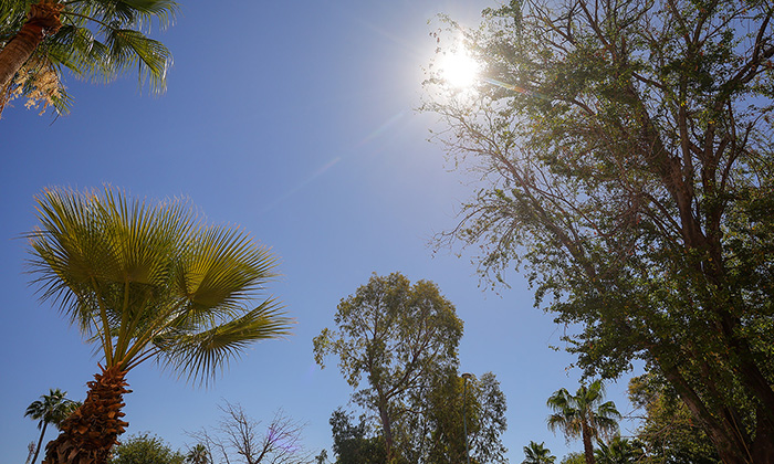 Se mantendrán temperaturas superiores a 40 grados; prevén lluvias hasta finales de mes