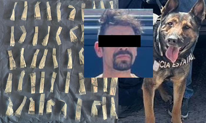 Aprehenden a narcomenudista con crystal en la colonia Puerta Real
