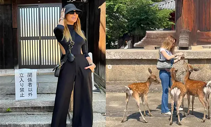 Muerde venado a Geraldine Bazán en Japón