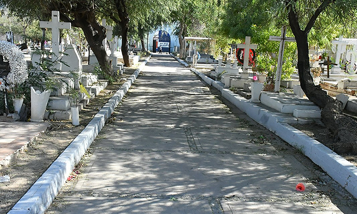 Suma Bosque Memorial 300 árboles nativos en el Panteón Yáñez