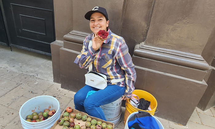 Cae venta de pitahayas en Centro de la ciudad