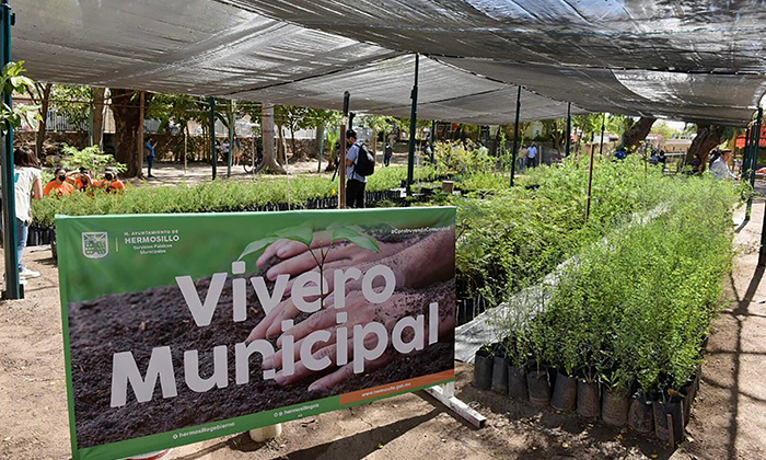 Donarán más arbolitos nativos este viernes 13 en el Vivero Municipal