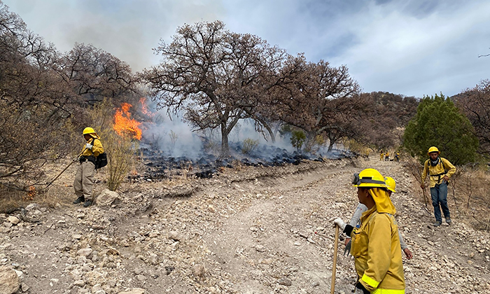 Controlan totalidad de incendios forestales; Brigadas estatales y federales