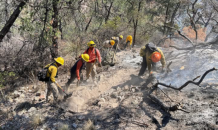 Trabajan en sofocar incendio forestal en Agua Prieta; Brigadas estatales y federales