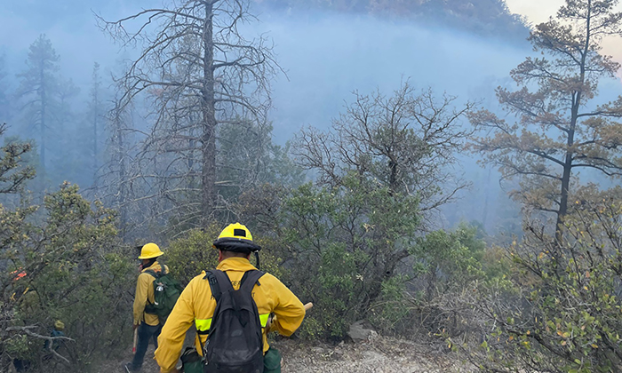 Avanza control y liquidación de incendio forestal en Agua Prieta