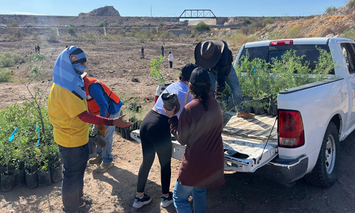 Autoridades estatales inicia reforestación de La Oreja de La Sauceda