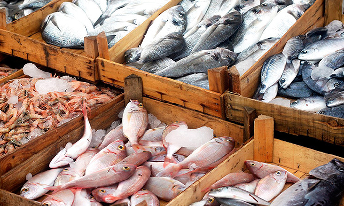 Piden verificar estado de pescados y mariscos para una ingesta segura