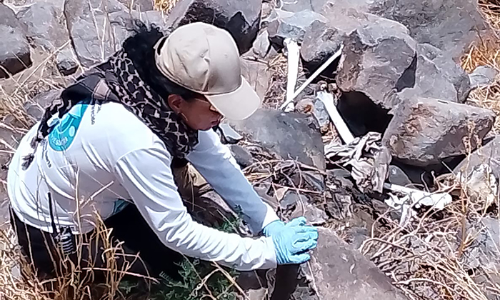 Localizan Buscadoras restos de nueve personas en Pitiquito