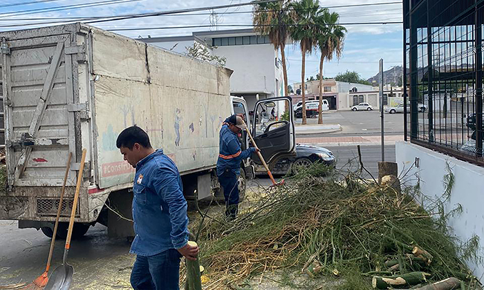 Mantiene Parques y Jardines tareas operativas durante el actual periodo vacacional
