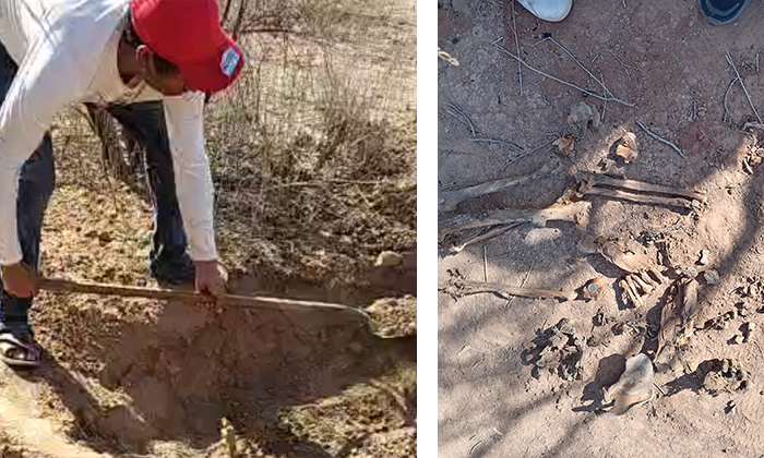 Hallan Buscadoras fosa con restos humanos en la Costa de Hermosillo