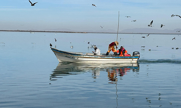 Gana Guaymas premios a la Pesca y Acuacultura Sustentable