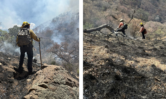Sofocan incendio forestal en Los Ajos