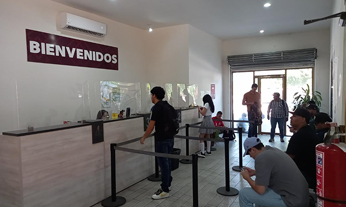Exhortan a tramitar credenciales del transporte