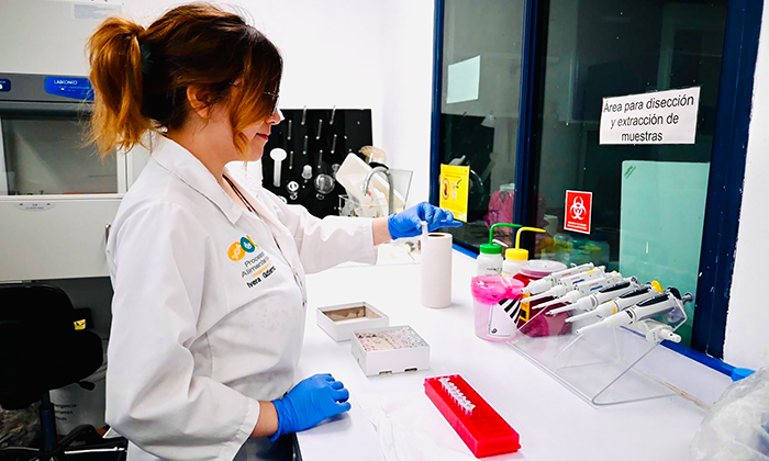 Realizan prácticas en reconocidos centros de investigación; Alumnado de UTSlrc