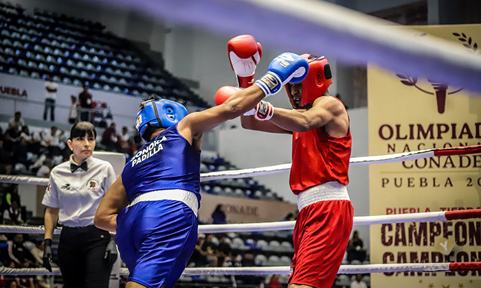Va Sonora por cuatro medallas de oro en la Olimpiada Nacional de Boxeo