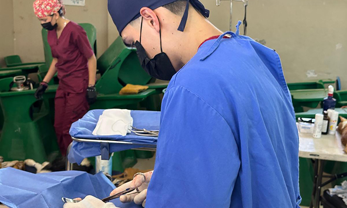 Realizan jornadas gratuitas de esterilización; La dirección de Protección y Bienestar Animal