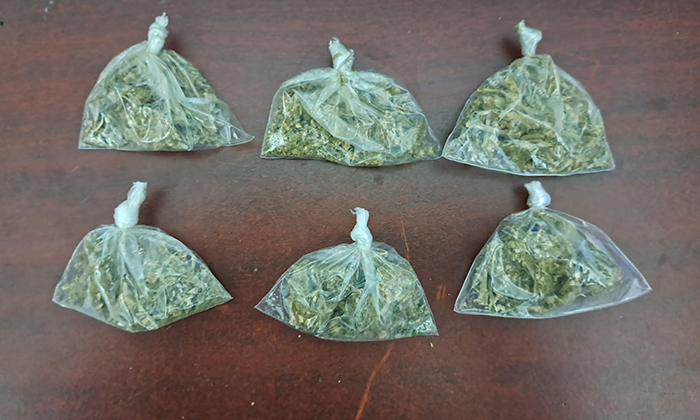 Sorprenden a par de “tiradores” de droga en las colonias Insurgentes y Café Combate