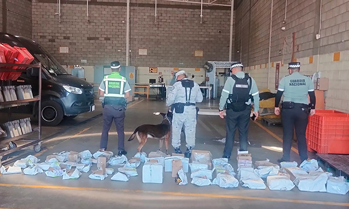Hallan carga de “mota” y vapeadores en paquetería; Elementos de la Guardia Nacional
