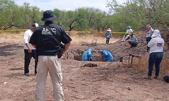 Realizan 600 búsquedas de desaparecidos en el transcurso de este año